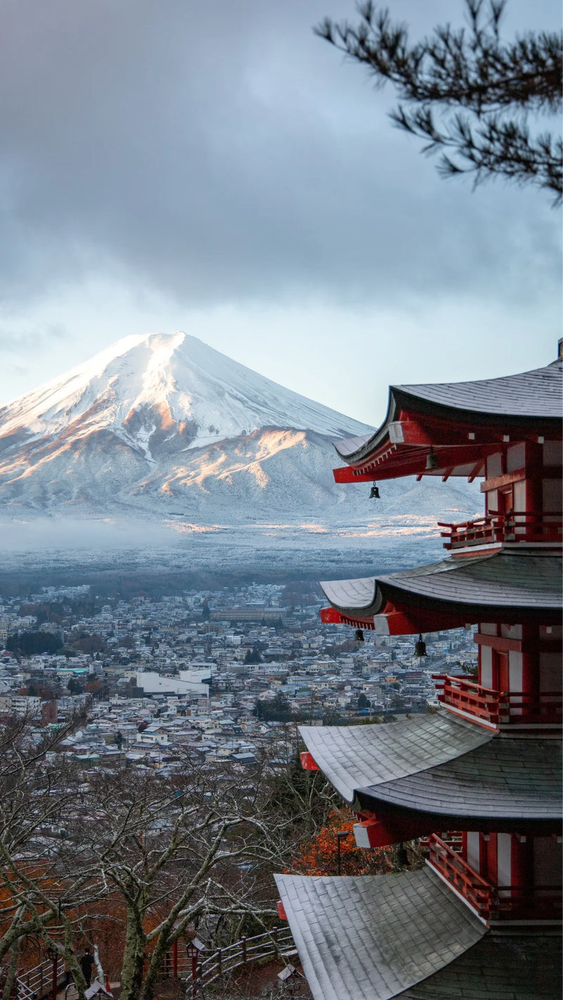 Skip the Tourist Traps